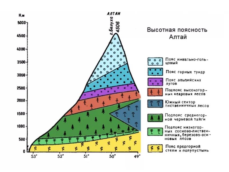 Высотная поясность презентация