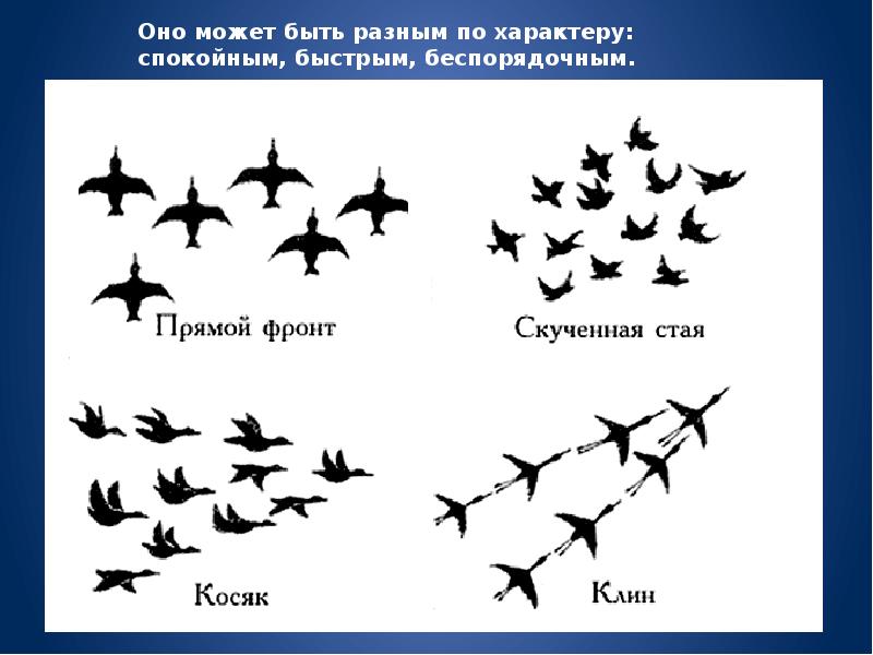 Ритм пятен ритмическое расположение летящих птиц на плоскости листа 2 класс презентация