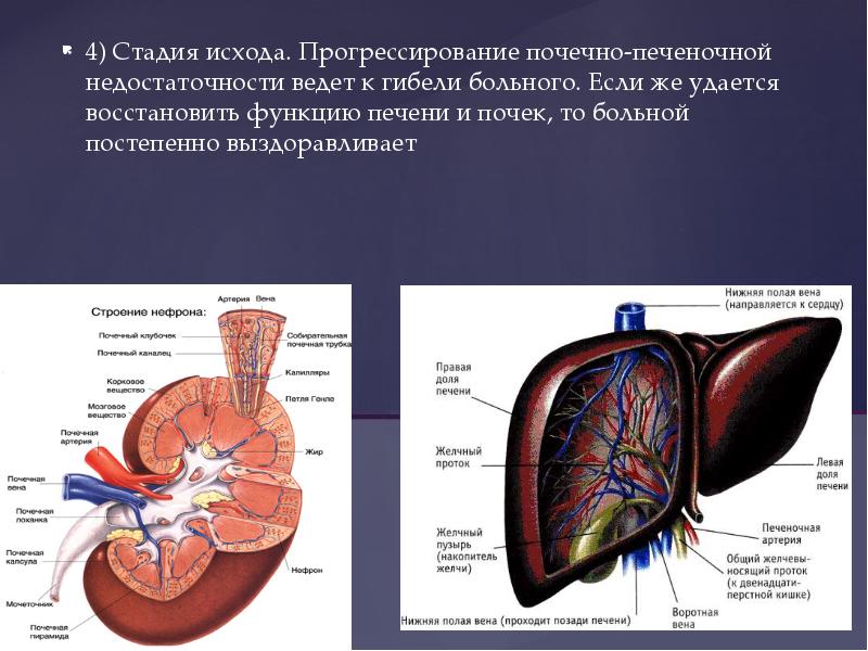 Травмы уретры презентация