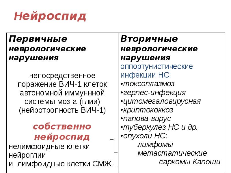 Нейроспид Нейроспид