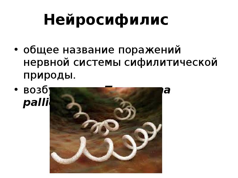 Нейросифилис
общее название поражений нервной системы сифилитической природы.
возбудитель - Treponema Нейросифилис
общее название поражений нервной системы сифилитической природы.
возбудитель - Treponema