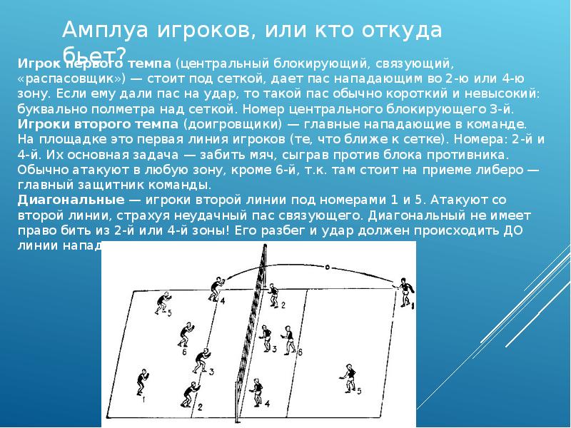 Как называются игроки в волейболе отмеченные на картинке