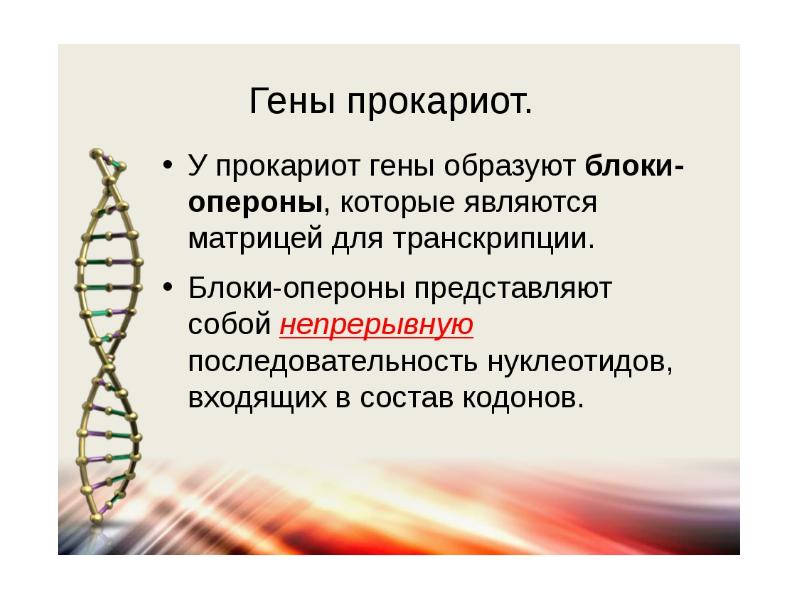 Ген геном презентация