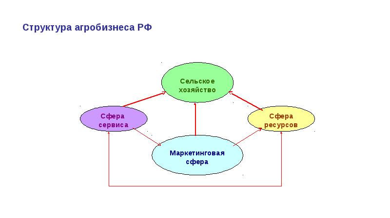 Презентация на тему агробизнес