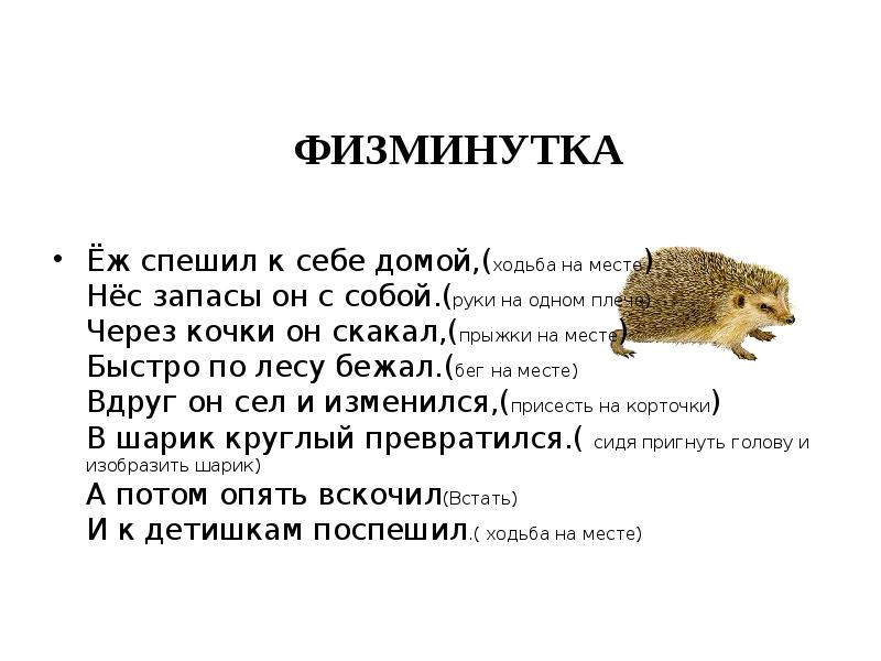 Какую форму принимает еж когда чувствует опасность нарисуй что или кто имеет такую же форму