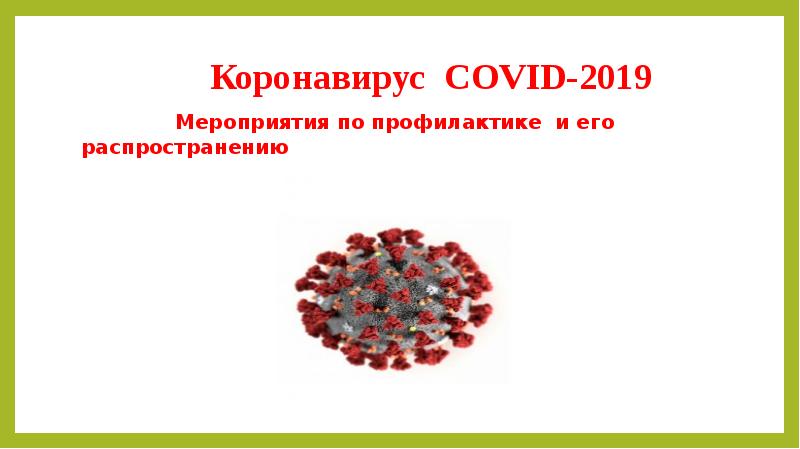 Проект на тему коронавирус covid 19