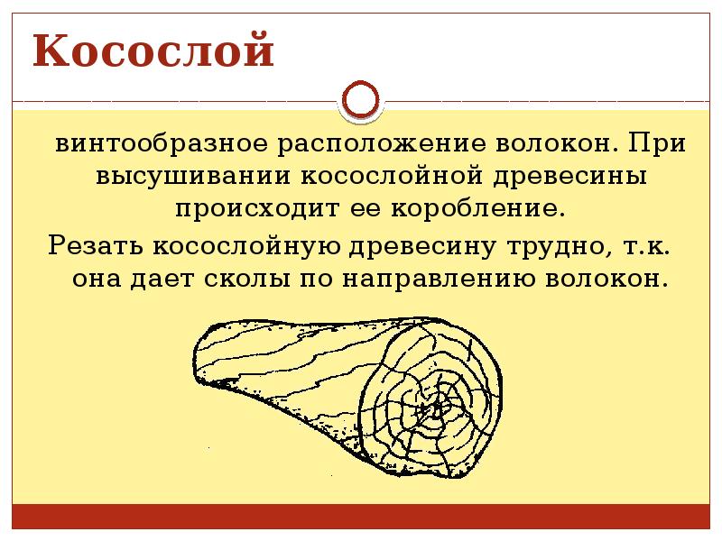 заготовка древесины 6 класс технология