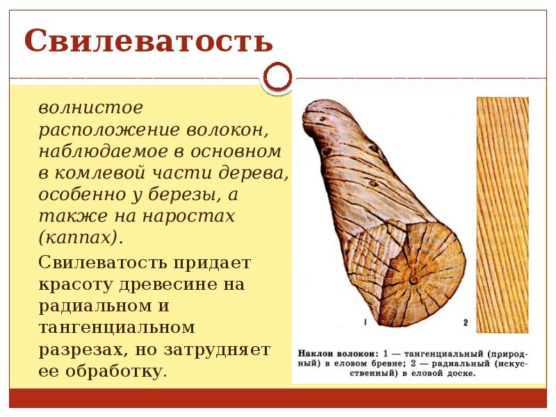 заготовка древесины 6 класс технология
