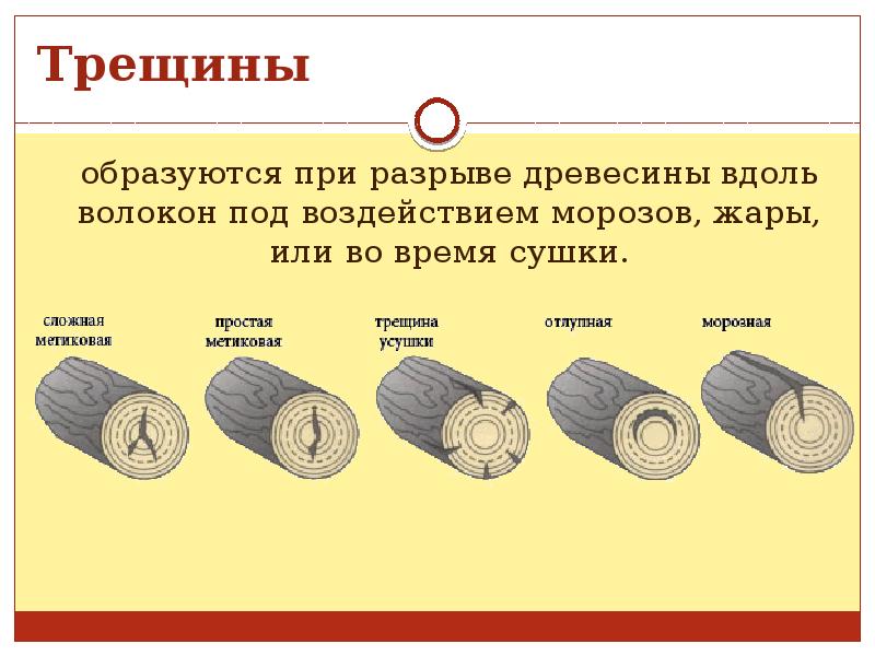 Проект заготовка древесины