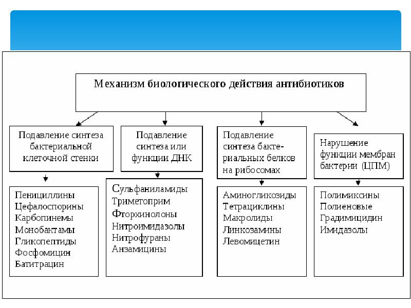 Механизмы антибиотиков. Классификация антибиотиков по механизму антимикробного действия. Схема классификации антибиотиков по механизму действия. Принципы классификации антибиотиков по механизму действия. Таблица антибиотиков по механизму действия.