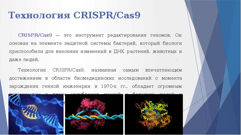 Crispr cas9 презентация