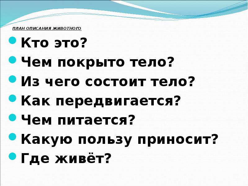 Составить и записать план описания животного