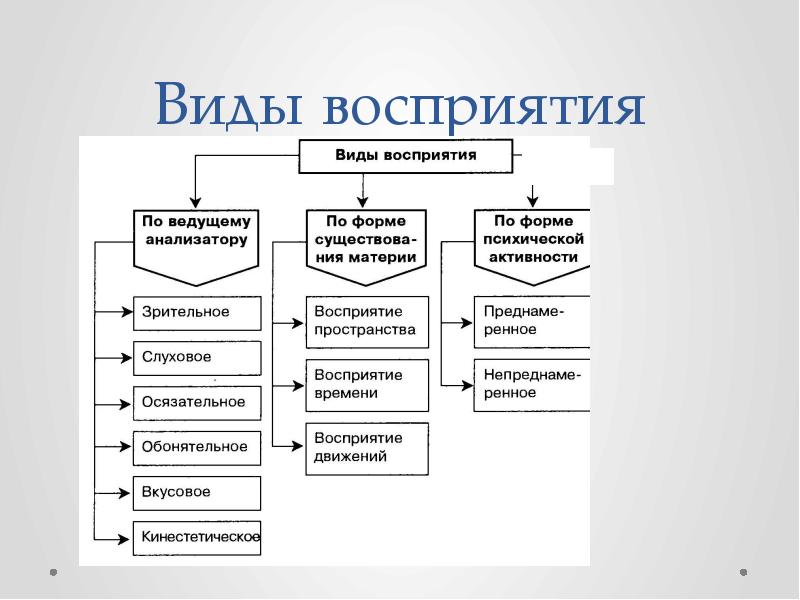 Разработка презентации психического процесса