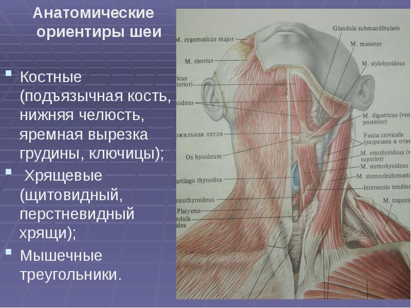 Дорсопатия шейного отдела карта вызова