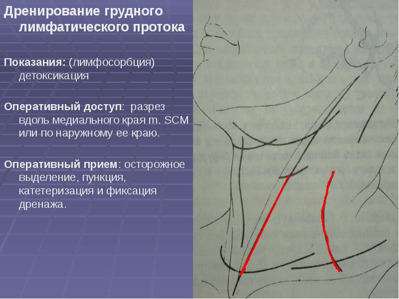 Топографическая анатомия и оперативная хирургия шеи презентация