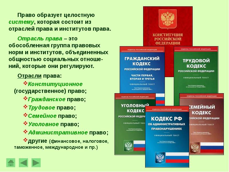 Исполнительно правовые нормы. Правовые нормы презентация. Правовое право. Законодательные нормы военного права. Правовые нормы РФ.