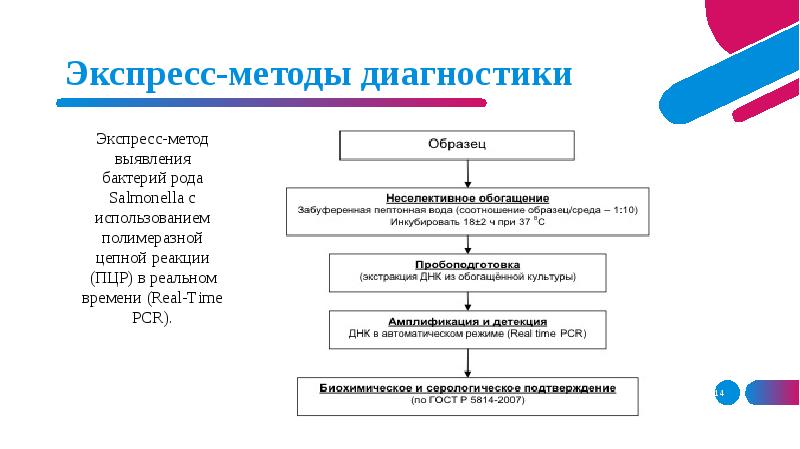 Схема исследования сальмонелл