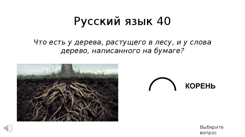 Чем занимаешься смотрю как деревья растут все суетишься картинка с монахом