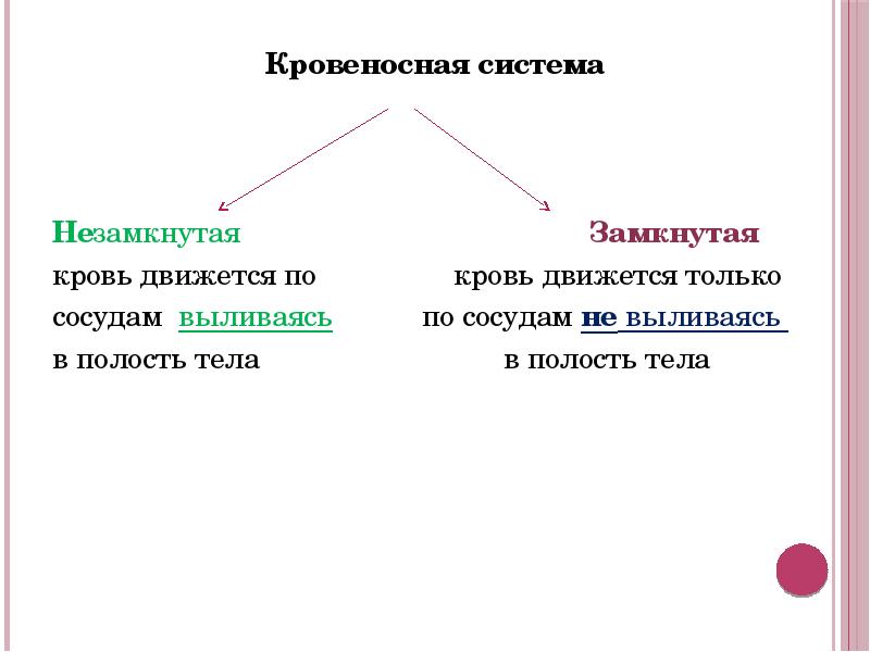 Предложите простые схемы замкнутой и незамкнутой кровеносной системы укажите на них сердце сосуды и