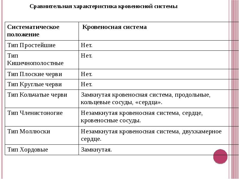 Сравните между собой рисунки кровеносной системы у разных животных отметьте у них черты сходства