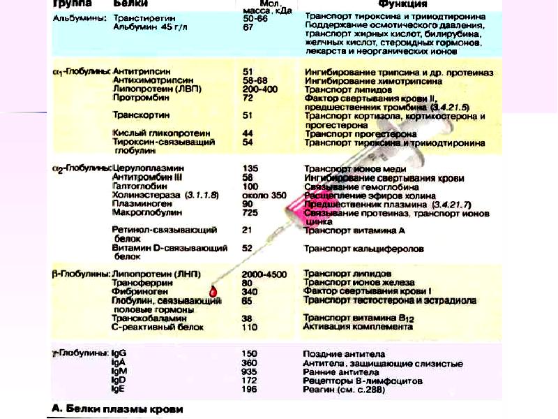 Белки плазмы крови презентация биохимия