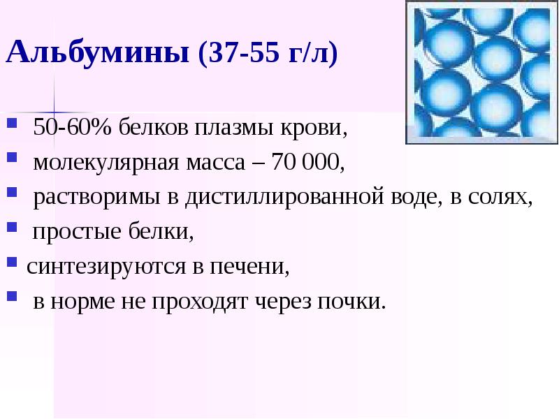 Белок 60. Белки плазмы крови молекулярная масса. Общий белок плазмы крови в норме составляет. Белки плазмы крови презентация. Норма белков плазмы крови.