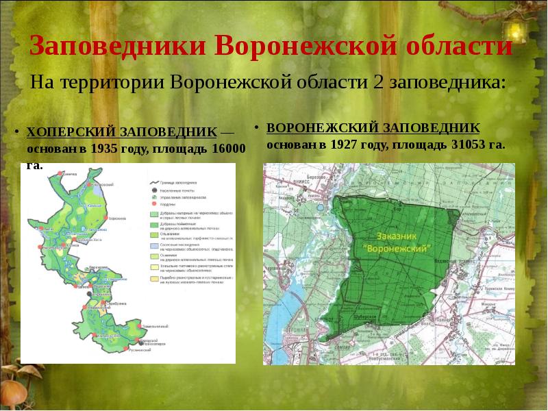 План воронежского заповедника