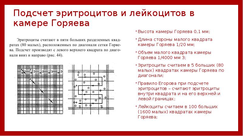 Камера для подсчета клеток в биологических образцах мочи