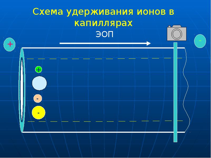 Схема удерживания ионов в капиллярах Схема удерживания ионов в капиллярах