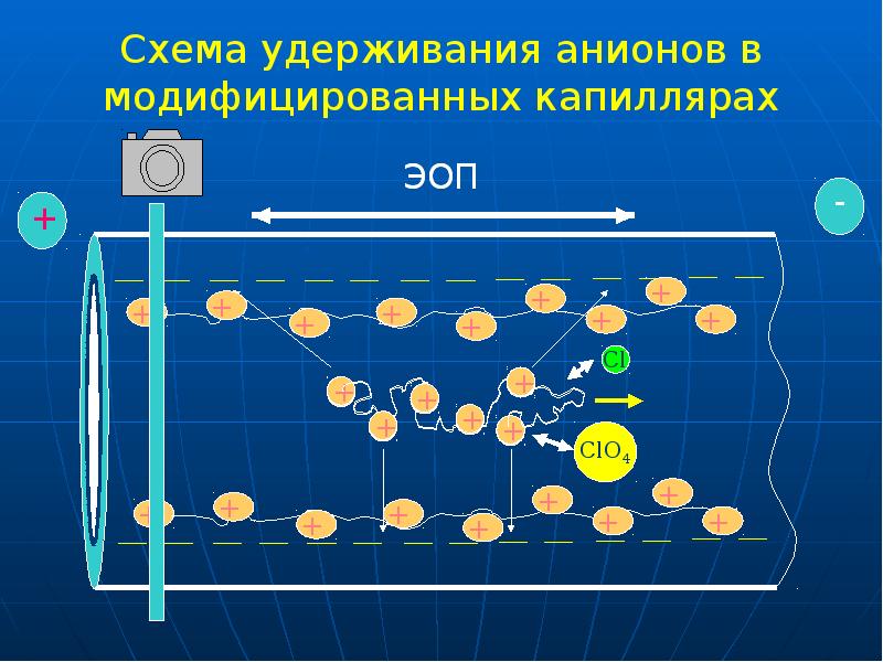 Схема удерживания анионов в модифицированных капиллярах Схема удерживания анионов в модифицированных капиллярах