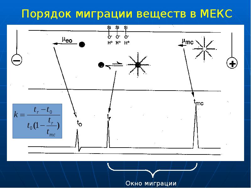 Порядок миграции веществ в МЕКС Порядок миграции веществ в МЕКС