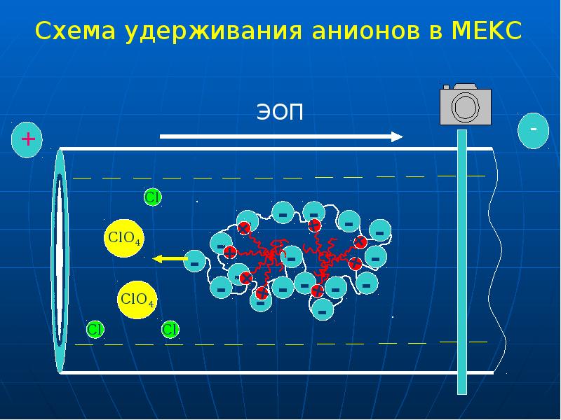 Схема удерживания анионов в МEKC Схема удерживания анионов в МEKC