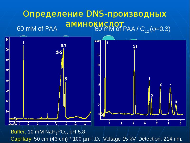 Определение DNS-производных аминокислот Определение DNS-производных аминокислот