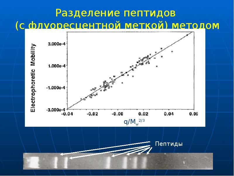 Разделение пептидов (с флуоресцентной меткой) методом CGE Разделение пептидов (с флуоресцентной меткой) методом CGE