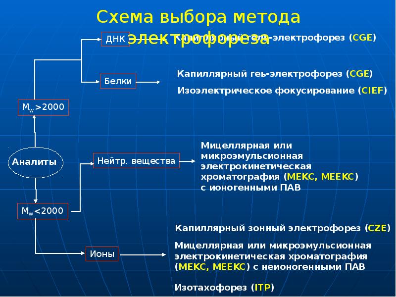Схема выбора метода электрофореза Схема выбора метода электрофореза