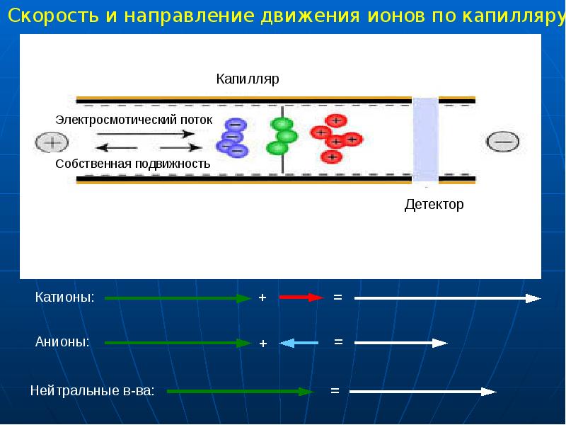 Метод капиллярного электрофореза основные принципы и схемы реализации