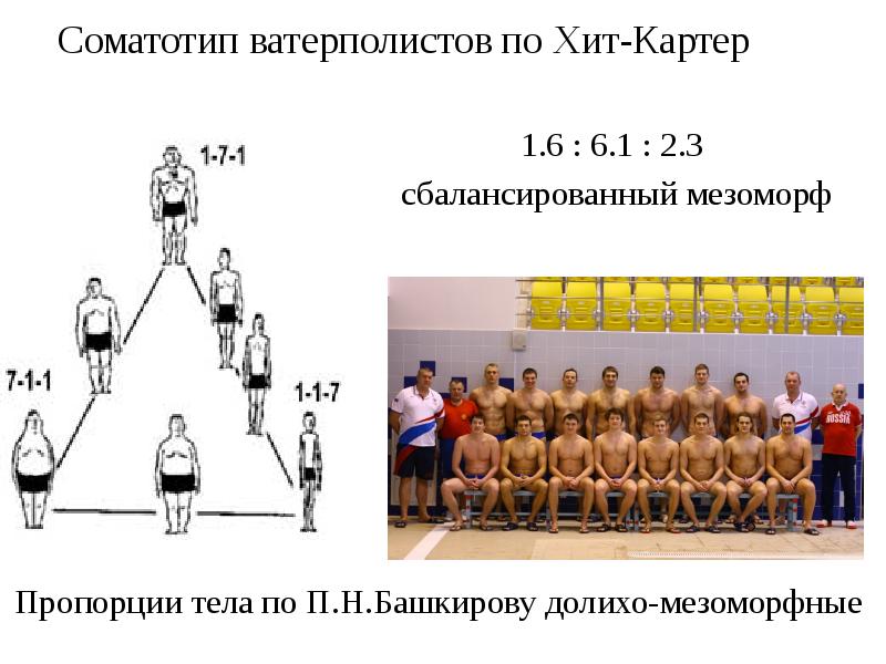 Система б. Соматотип. Типы телосложения по хит картеру. Соматотип по хит картеру. Соматосрез хит-картера.