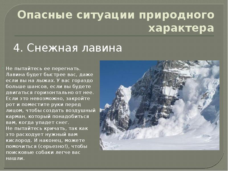 План поведения в чрезвычайной ситуации природного характера проект