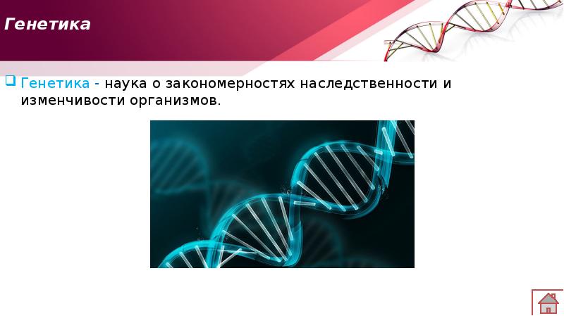 Презентация по биологии 10 класс генетика наука о закономерностях наследственности и изменчивости