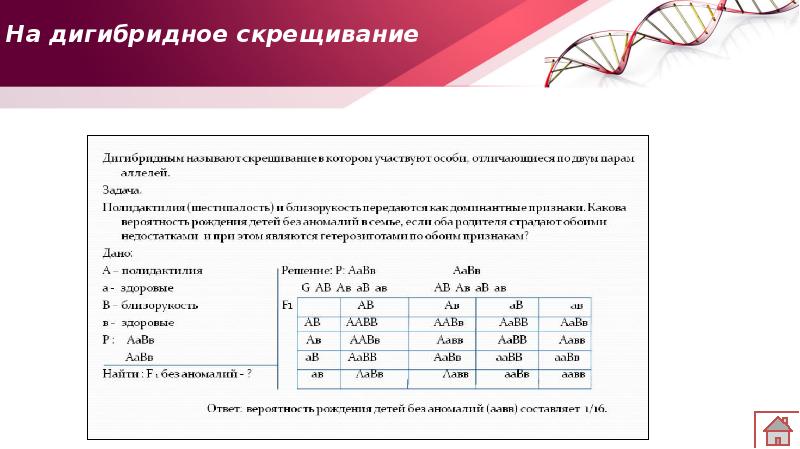 Дигибридное скрещивание задачи