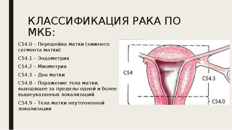 Презентация опухоли маточных труб