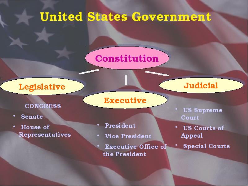 the political system of the usa текст