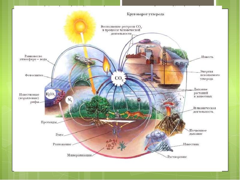 Учение о биосфере презентация 10 класс пономарева