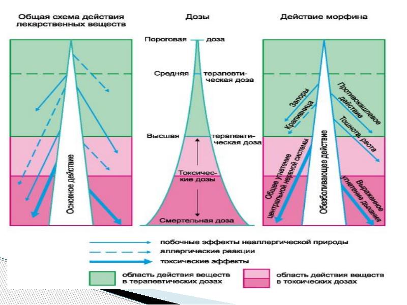 Зависимость действия. Зависимость действия лекарственных веществ от возраста и массы тела. Зависимость действия лекарственных веществ от времени года. Положительный плотностно-зависимый эффект.