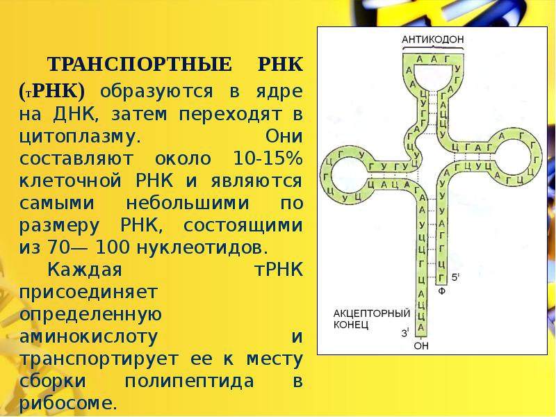 Расшифровка история