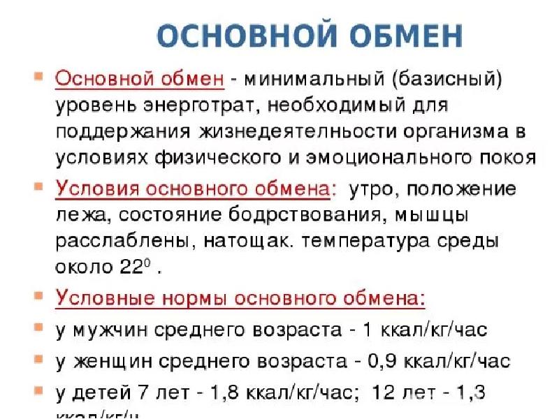 Основной обмен презентация