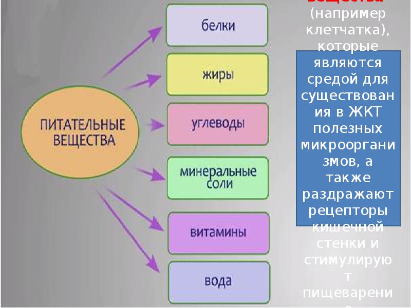 Обмен веществ презентация 8 класс