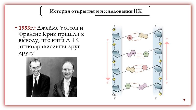 Уотсон джеймс презентация