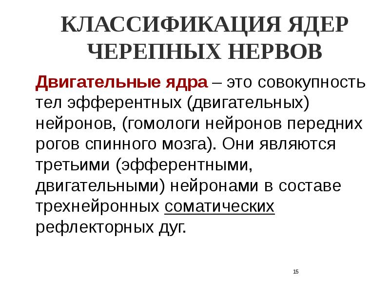 Функциональная анатомия периферической нервной системы презентация