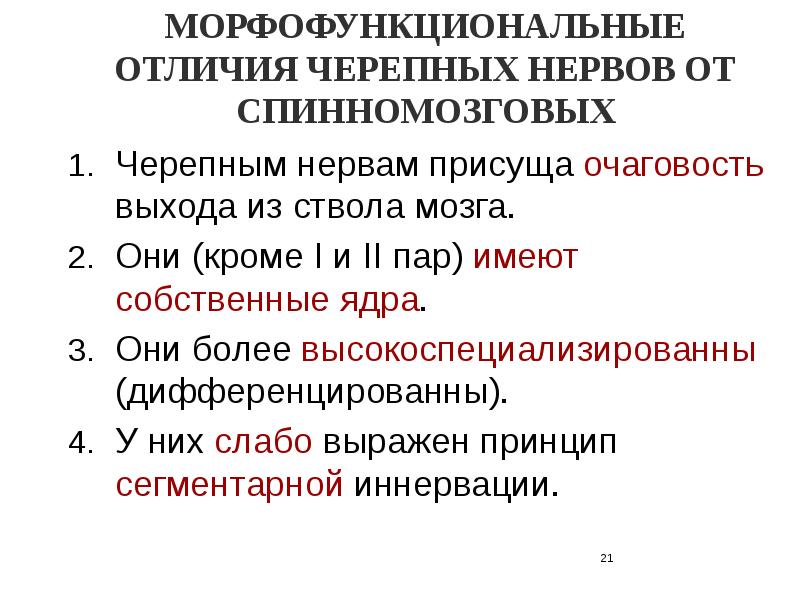 Функциональная анатомия периферической нервной системы презентация